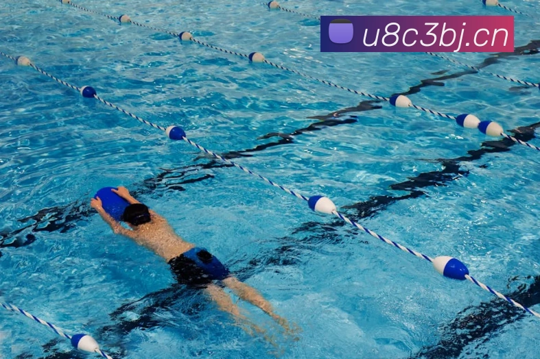 星空体育官网登录平台平台生态图