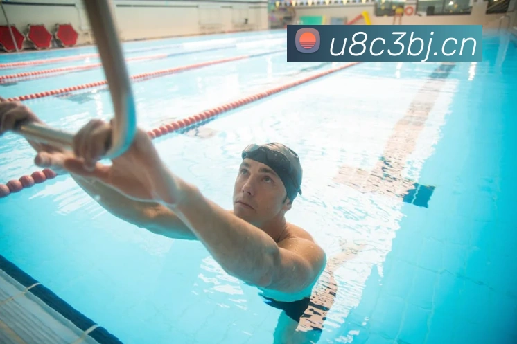 星空体育官网登录平台APP 封面图